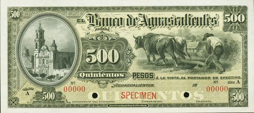 Aguascalientes 500 specimen