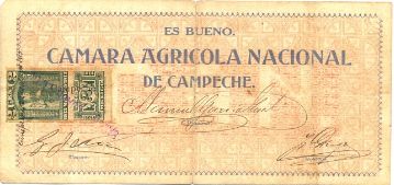 Camara 1 reverse