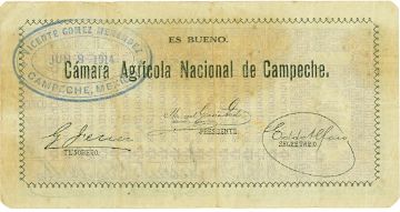 Camara 5c reverse