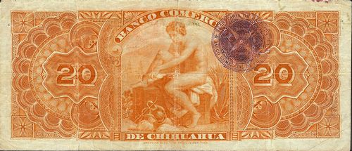Comercial 20 B 4229 reverse