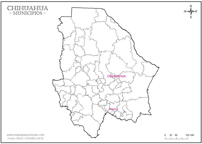 Chihuahua Parral
