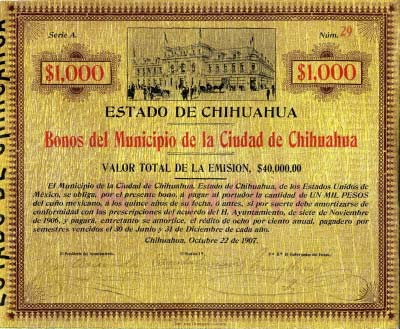 Chihuahua A 1000