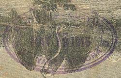 ERRioYaqui