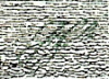 FFV
