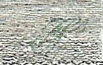 ec5count2g