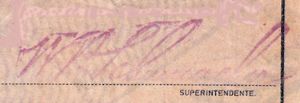 sig Tecolotes superintendente