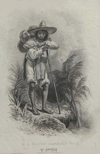 Water Carrier