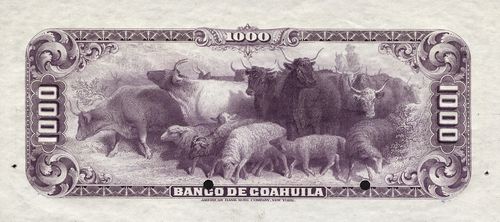 Coahuila 1000 specimen reverse