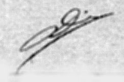 sig Excelsior 2