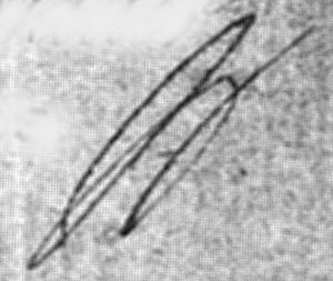 sig Excelsior 3