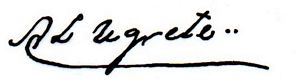sig Negrete 2