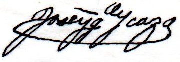 sig Icaza