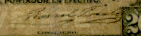 sig Hidalgo 6