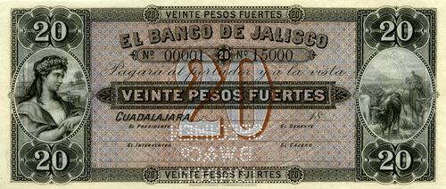 Jalisco 20 specimen