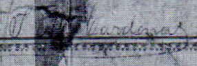 sig Amatitlan Alcalde