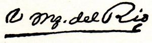 sig del Rio 2