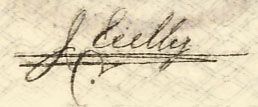sig Tellez