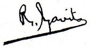 sig Consejero 1