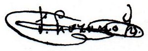 sig Consejero z