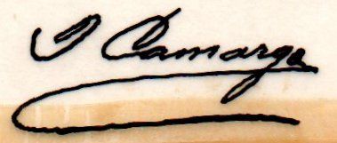 sig Camargo
