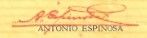 sig Espinosa
