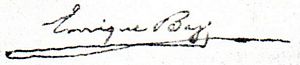 sig Baz