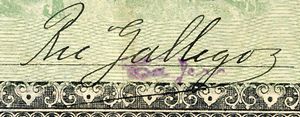 sig Gallegos