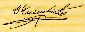 sig Turrubiartes