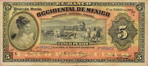 Occidental 5 L 105817