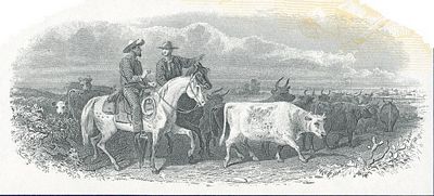 Cattle drive