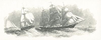 Off the Harbor