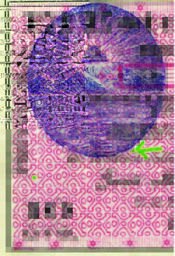 10cposD