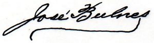 sig Bulnes