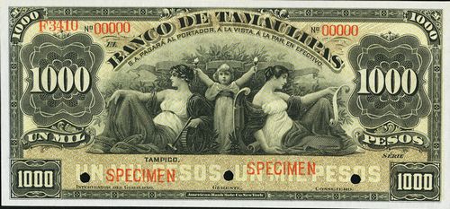 Tamaulipas 1000 specimen
