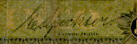 sig Consejero y
