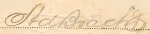 sig Rebolledo 2