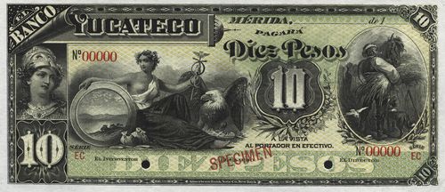 Yucateco 10 specimen