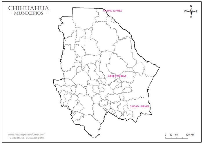 Chihuahua 1943
