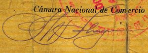 sig Camara Aguascalientes 1