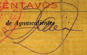 sig Camara Aguascalientes 2