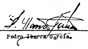 sig Ibarra Garcia