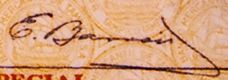 sig Tampico 2